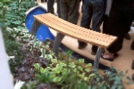 Curved bench in the Chapel Garden at The Norfolk and Norwich University Hospital