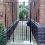 Walkway gate with side panels